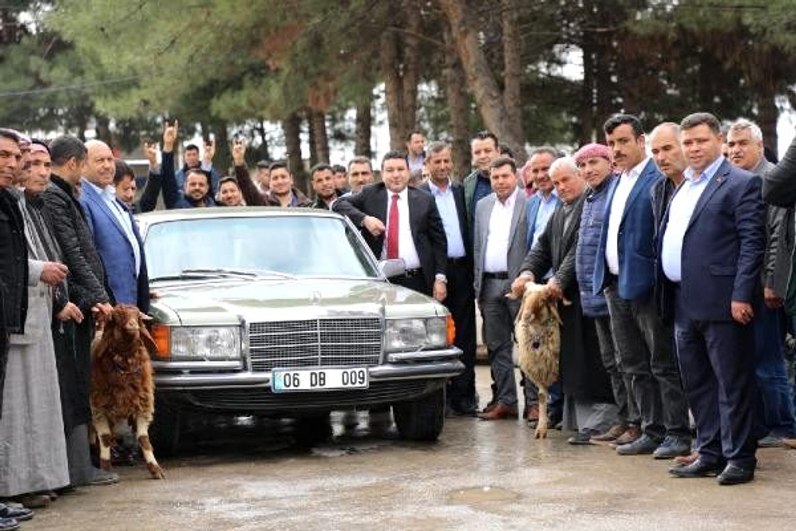 Devlet Bahçeli'nin hediye ettiği otomobil, Harran'da kurban kesilerek  karşılandı - Dailymotion Video