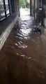 Brighouse floods at Jeremy's