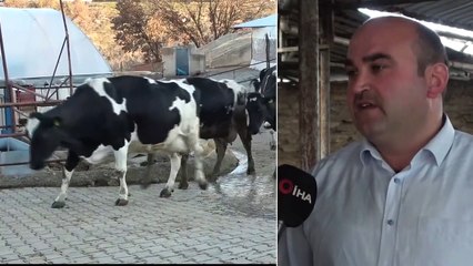 Çizmeyi Giyip Hayvancılık, Takım Elbiseyi Giyip Başkanlık Yapıyor