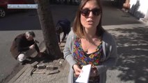 Voluntarios liberan en Sevilla a árboles con alcorques tapados con adoquines