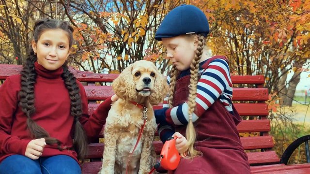 Idealny kompan dla Twojego dziecka. Poznaj najbardziej przyjazne rasy psów.