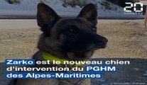 À la recherche de victimes d'avalanche avec Zarko, le chien sauveteur du PGHM des Alpes-Maritimes