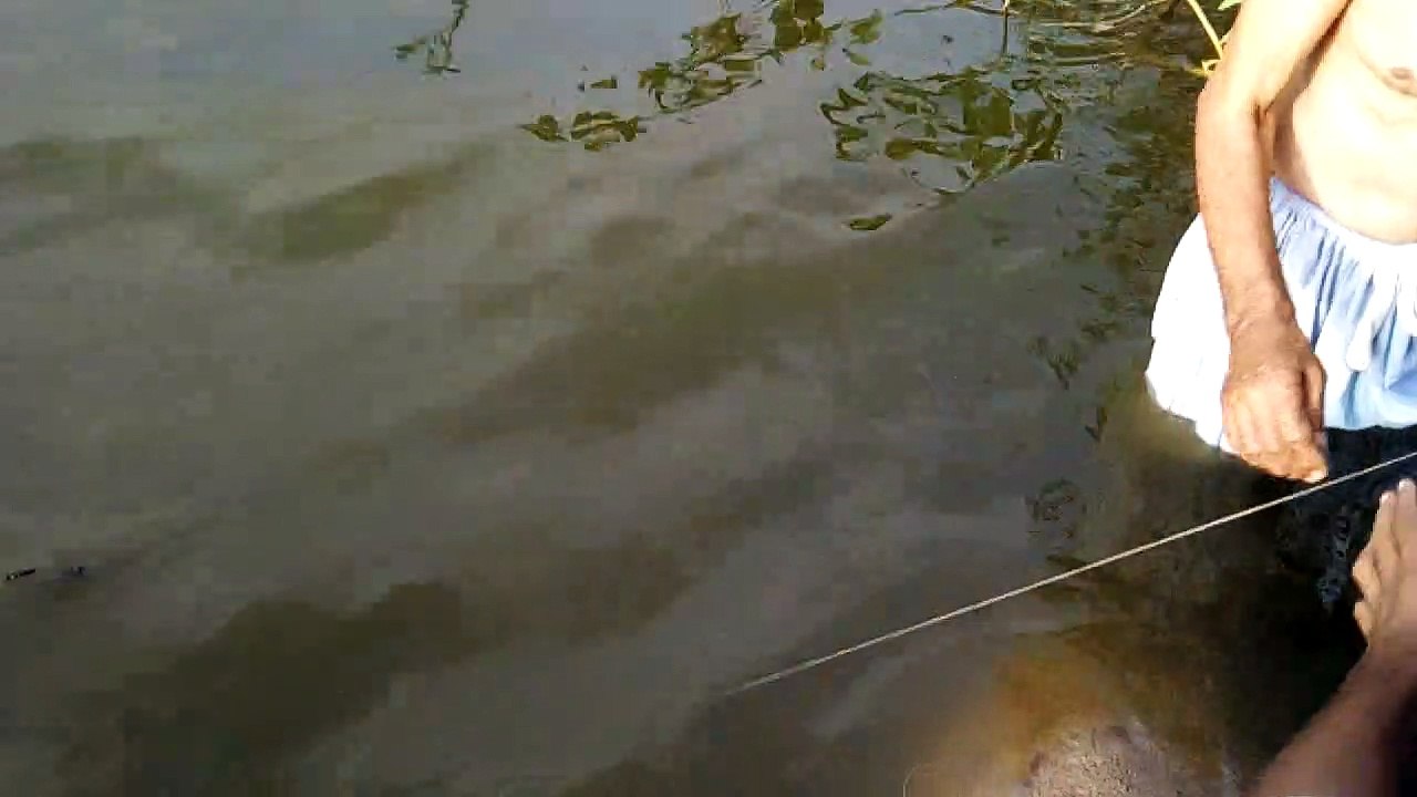 fishing at dame