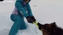 Perros de rescate, un elemento fundamental durante la temporada de avalanchas