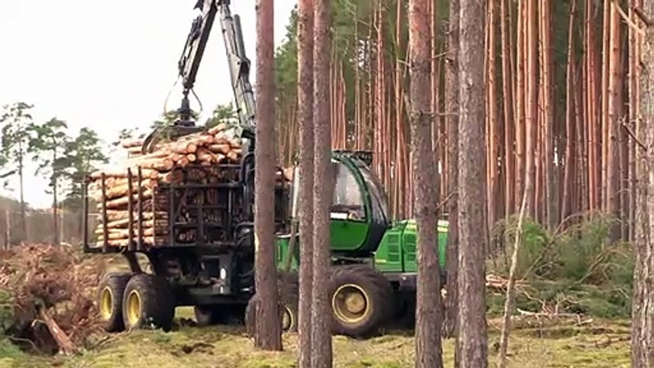 Baumbesetzung gegen Tesla-Rodungen in Brandenburg
