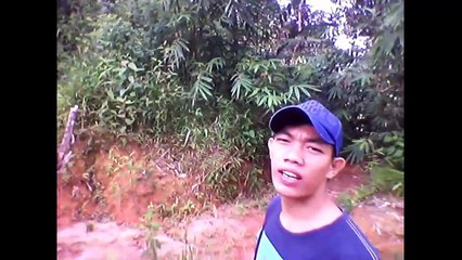 Menelusuri Hutan Tapanuli ( Desa Sitorngom - Kecamatan Adiankoting - Tapanuli Utara )