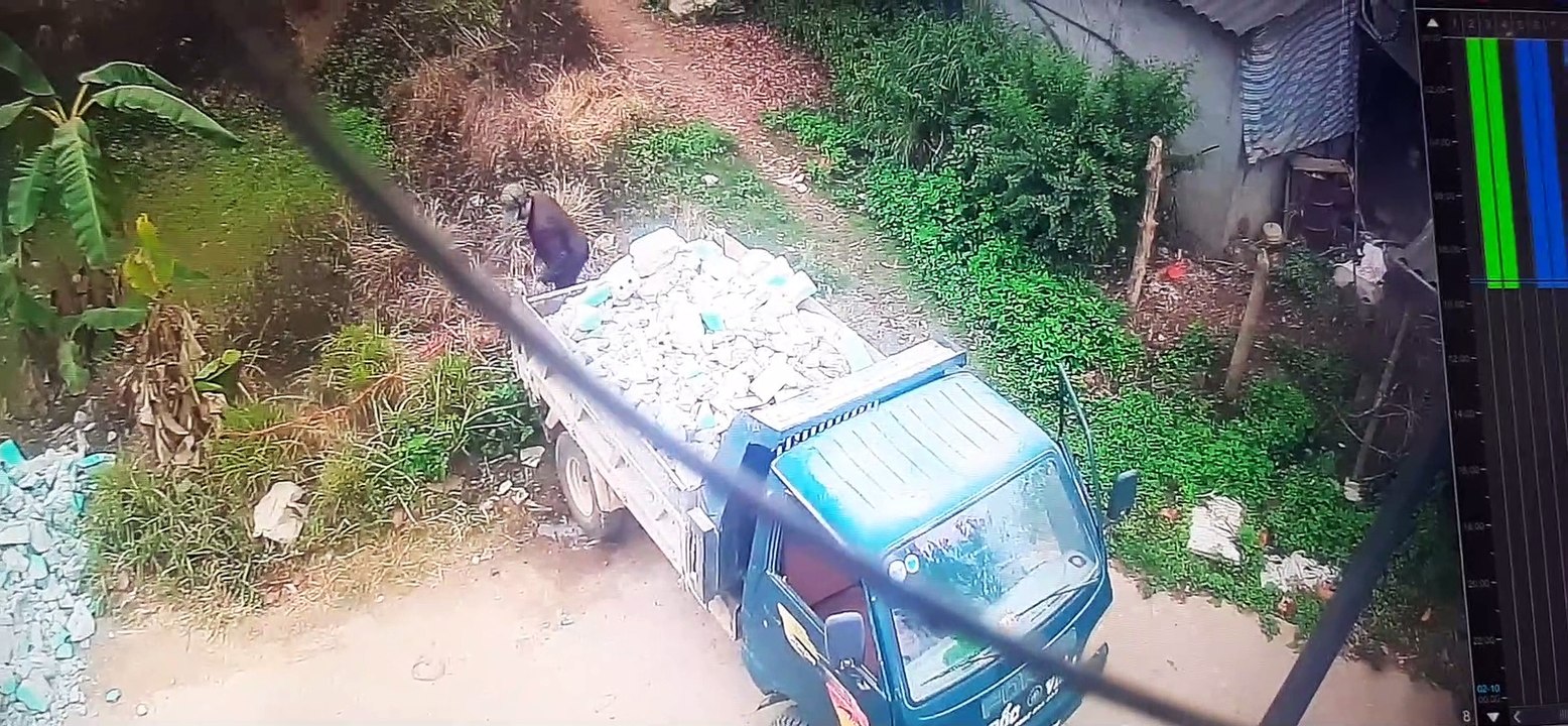 Truck Tumbles into a Pond