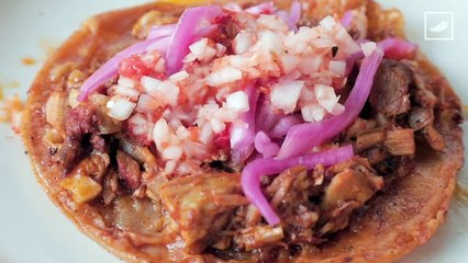 Sabrosos tacos, panuchos y tortas de cochinita #GRASABROSO
