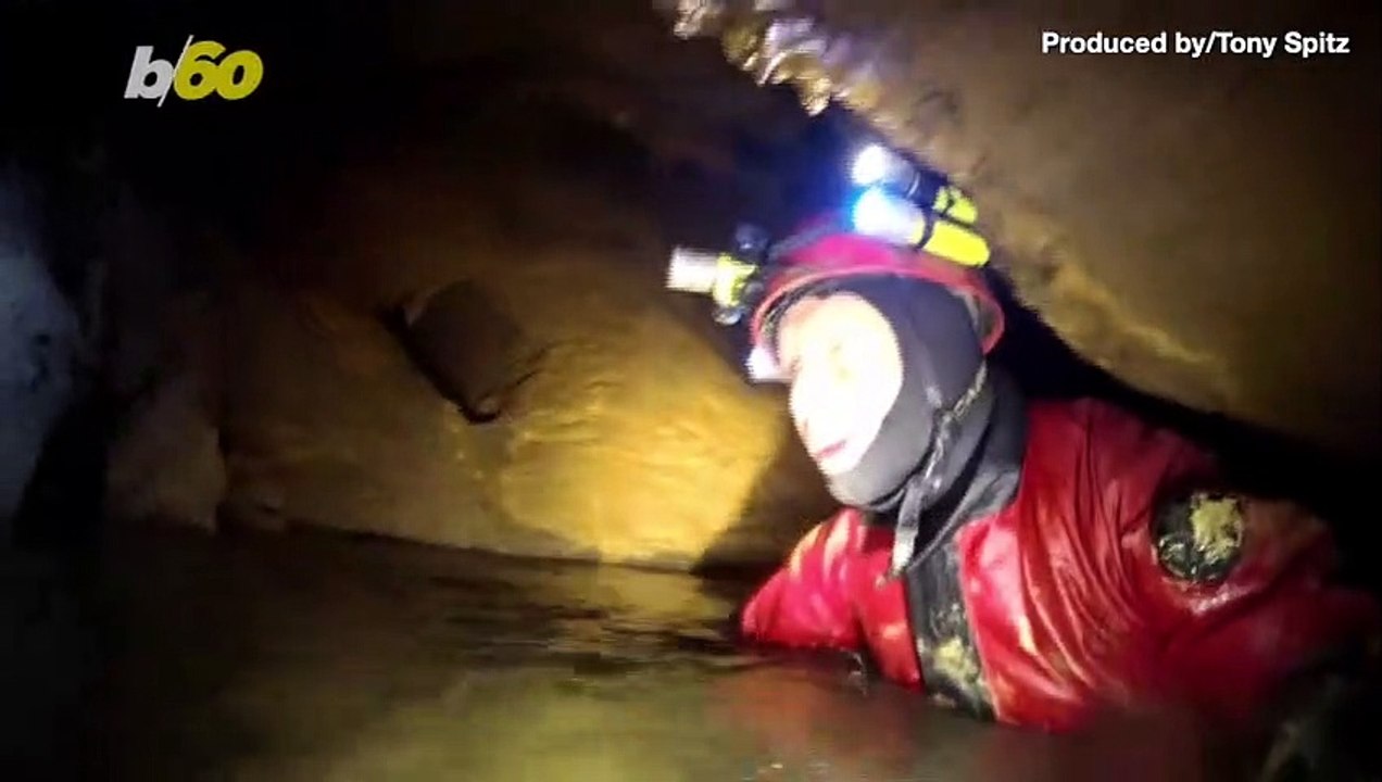 Amateur Cave Divers Discover 100 Million-Year-Old Fossils