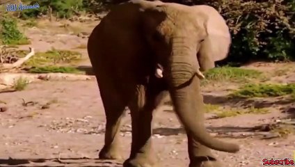 함양출장서비스 함양출장서비스O1OE6683E6402｛카톡GOO56｝ 함양출장마사지샵 함양출장안마on함양출장안마cos여3♪⇔∃마사지황형♥≁≪