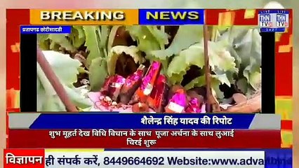 THN TV24 17 शुभ मूहर्त देख विधि विधान के साथ  पूजा अर्चना के साथ लुआई चिरई शुरू