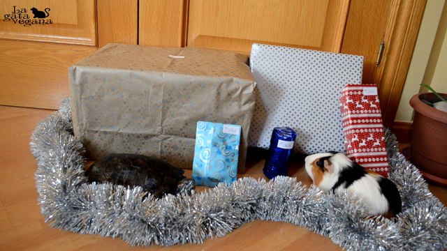 LOS REGALOS DE NAVIDAD DE LOS ANIMALES Y SU REACCIÓN | ¿HAN SIDO BUENOS ESTE AÑO? | LA GATA VEGANA