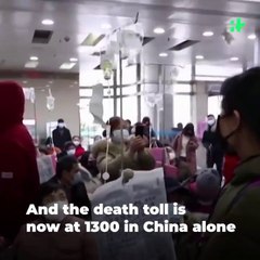 Tải video: Wuhan Coronavirus Update_ Heartbreaking Video Of Chinese Couple Infected With Coronavirus Is Viral