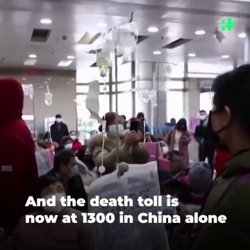 Wuhan Coronavirus Update_ Heartbreaking Video Of Chinese Couple Infected With Coronavirus Is Viral