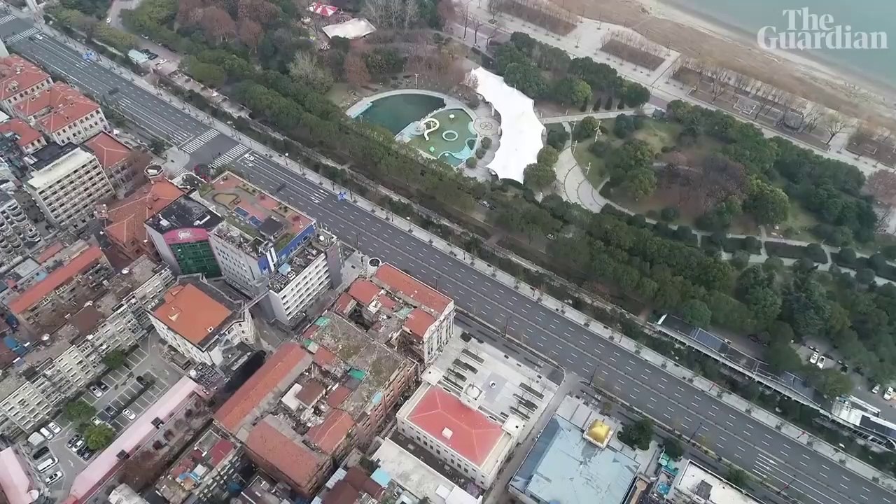 The coronavirus cat rescuer of Wuhan