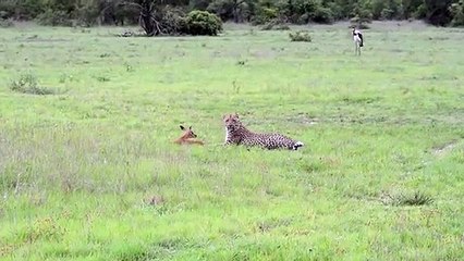 남양주출장서비스 남양주출장서비스O1Og4832g2166｛카톡MGM85｝ 남양주출장마사지샵 남양주출장안마on남양주출장안마cos여3♪⇔∃마사지황형♥∏≪