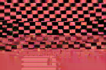 MVGEN: Jack Hartmann : Sonnenblumenkfer