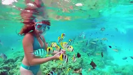 سبع قواعد في السباحة من شأنها أن تنقذ حياتك