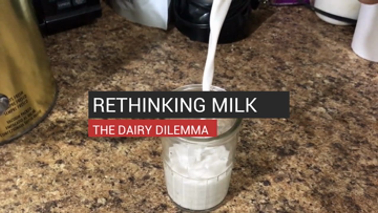 Rethinking Milk The Dairy Dilemma