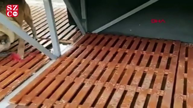 Yolcu otobüsünde özel bölmeye gizlemişler! Piyasa değeri 41 milyon lira