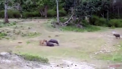 충주출장서비스 충주출장서비스O1OE9914E7203｛카톡DDD22｝ 충주출장마사지샵 충주출장안마on충주출장안마cos여3♪⇔∃마사지황형♥≷≪