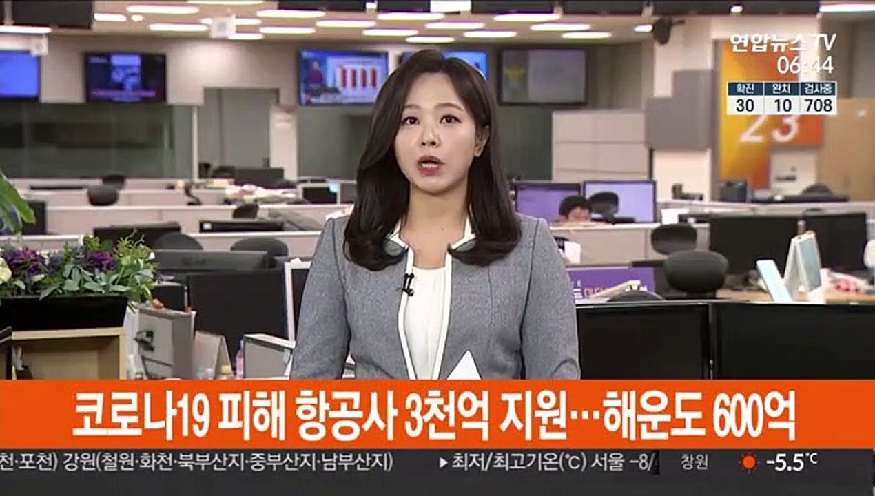 코로나19 피해 항공사 3천억 지원…해운도 600억