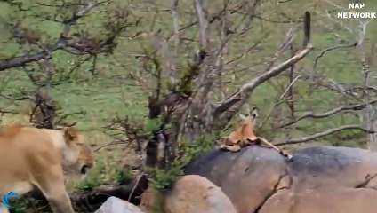 경기추천업소【OI0↔29O8↔68O③】경기추천업소예약♥◀≪