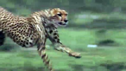 해남출장서비스 해남출장서비스O1OE8261E6657｛카톡YTN9｝ 해남출장마사지샵 해남출장안마on해남출장안마cos여3♪⇔∃마사지황형♥≇≪