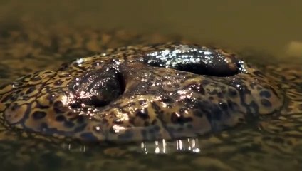 팔달출장서비스 팔달출장서비스O1Og4832g2166｛카톡QQ565｝ 팔달출장마사지샵 팔달출장안마on팔달출장안마cos여3♪⇔∃마사지황형♥≼≪