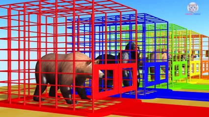 Kids Funny Cartoon - Ice Cream Chocolate Color for Kids - Learn Colors Learn Animals Wild Cartoon Rhymes