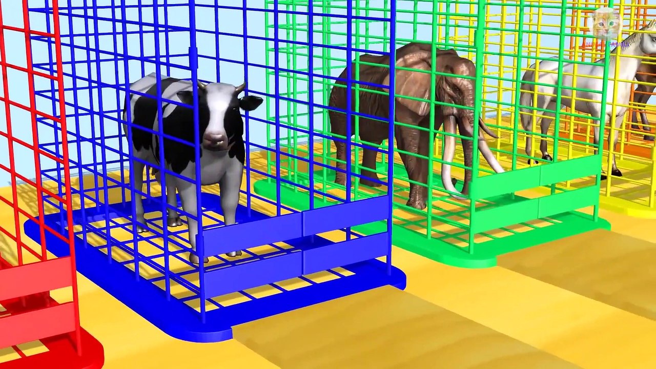 Animals Eat Food Bagels Colorful