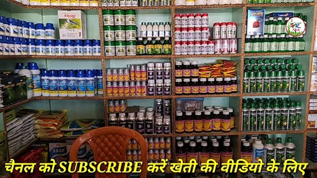 जैविक तरीके से बनाए चूहा भगाने का फार्मूला।