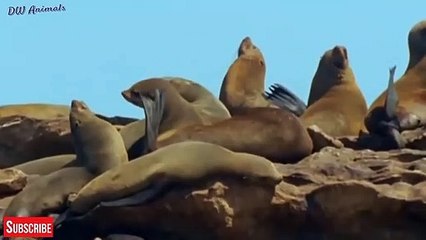 논산추천업소【OI0↔29O8↔68O③】논산추천업소예약♥≊≪