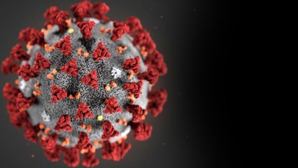 Coronavirus:A candidate vaccine is ready for pre-clinical trials|கொரோனாவுக்கு எதிராக சோதனை தடுப்பூசி