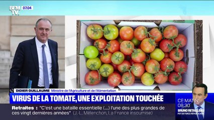 Virus de la tomate: le ministre de l'Agriculture assure que "le foyer est circonscrit à une exploitation" dans le Finistère