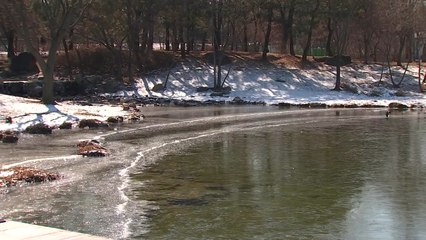 [날씨] 한파 누그러져...내일 맑고 평년보다 온화 / YTN