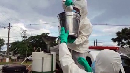 Fumacê: equipes aplicam produto em residências na Região Norte, em combate à dengue