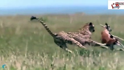 경북추천업소【OI0↔29O8↔68O③】경북추천업소예약♥≟≪