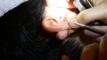 경북출장서비스 경북출장서비스O1Og2143g9131｛카톡KOM88｝ 경북출장마사지샵 경북출장안마on경북출장안마cos여3♪⇔∃마사지황형♥⊓≪