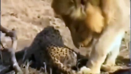 성북출장서비스 성북출장서비스O1Og2118g2518｛카톡KTX53｝ 성북출장마사지샵 성북출장안마on성북출장안마cos여3♪⇔∃마사지황형♥∬≪