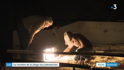 Lot : des traces de ptérosaures découvertes à Crayssac