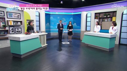 미녀들이 사랑할 수밖에 없는 열매 '붉은 보석' 석류♥