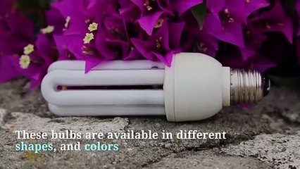 The Best Energy Efficient Bulbs
