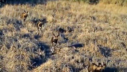 울산출장서비스 울산출장서비스O1Og4838g4959｛카톡NET47｝ 울산출장마사지샵 울산출장안마on울산출장안마cos여3♪⇔∃마사지황형♥⊅≪