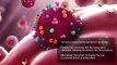 Medical Animation explaining Coronavirus Mechanism of Action