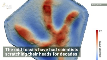 How Dinosaur Footprints Ended Up on a Cave Ceiling Finally Solved