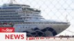 Two out of four Malaysians onboard Diamond Princess cruise ship infected with Covid-19, says minister