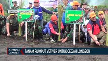 Tanam Rumput Vetiver Untuk Cegah Longsor