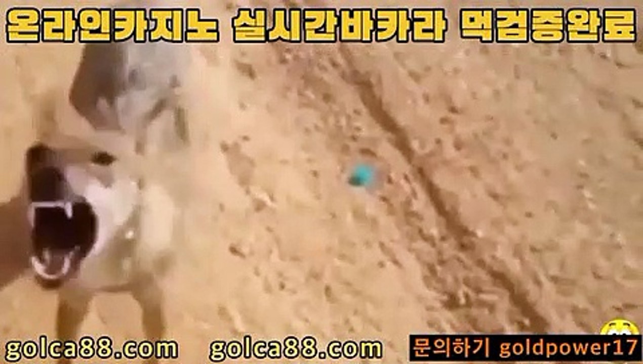 카지노 확률 높은 게임4마이다스카지노- ( ∑【 golca77。ＣoＭ 】∑) -바카라사이트 우리카지노 온라인바카라 카지노사이트 마이다스카지노 인터넷카지노 카지노사이트추천 4카지노 확률 높은 게임