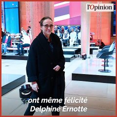 下载视频: Présidence de France Télévisions: le CSA met Delphine Ernotte sur la voie royale